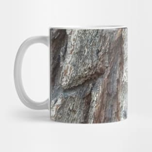 Wood, pattern, tree, nature Mug